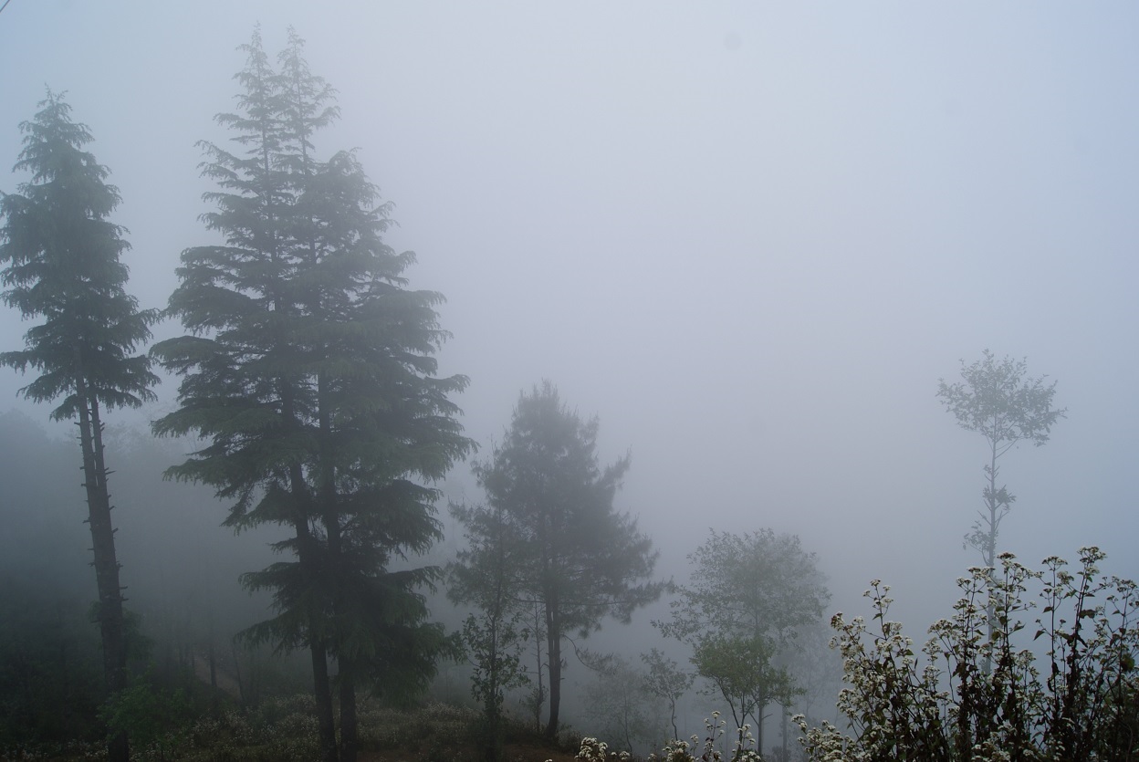 हुस्सुले आन्तरिक तथा अन्तर्राष्ट्रिय उडान प्रभावित